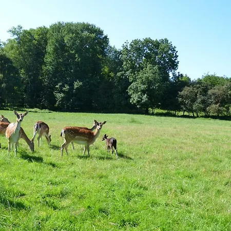 Apartment Drabinski *