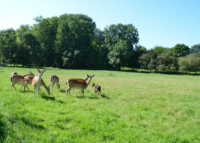 Appartement Drabinski *