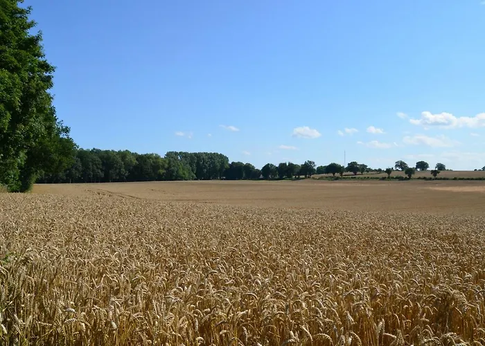 Appartement Drabinski *